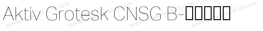 Aktiv Grotesk CNSG B字体转换